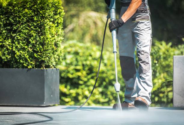 Best Animal Enclosure Cleaning  in Ripon, CA