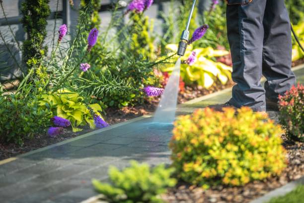 Best Gutter Cleaning  in Ripon, CA