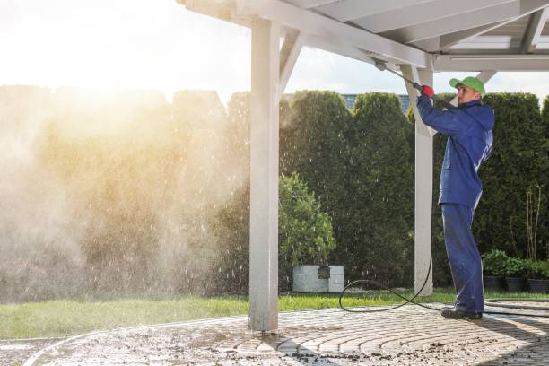 Best Building Exterior Washing  in Ripon, CA