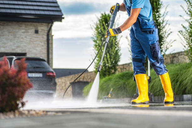 Best Driveway Pressure Washing  in Ripon, CA